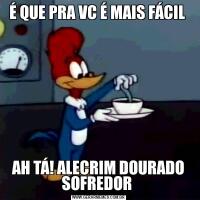 É QUE PRA VC É MAIS FÁCIL AH TÁ! ALECRIM DOURADO SOFREDOR 