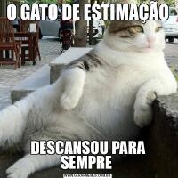 O GATO DE ESTIMAÇÃODESCANSOU PARA SEMPRE 