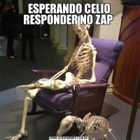 ESPERANDO CELIO RESPONDER NO ZAP 