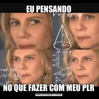 EU PENSANDONO QUE FAZER COM MEU PLR