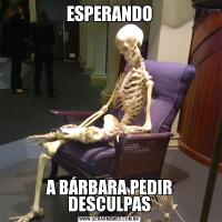 ESPERANDOA BÁRBARA PEDIR DESCULPAS
