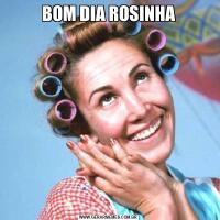 BOM DIA ROSINHA