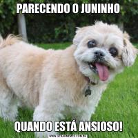 PARECENDO O JUNINHOQUANDO ESTÁ ANSIOSO!