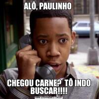 ALÔ, PAULINHO CHEGOU CARNE?  TÔ INDO BUSCAR!!!!