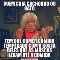 QUEM CRIA CACHORRO OU GATOTEM QUE COMER COMIDA TEMPERADA COM A BOSTA DELES QUE AS MOSCAS LEVAM ATÉ A COMIDA