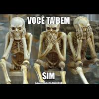 VOCÊ TA BEMSIM