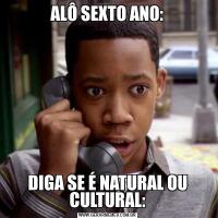 ALÔ SEXTO ANO:DIGA SE É NATURAL OU CULTURAL: