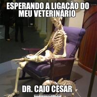 ESPERANDO A LIGAÇÃO DO MEU VETERINÁRIO DR. CAIO CÉSAR 