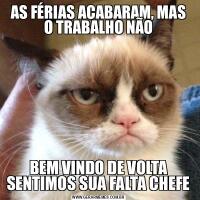 AS FÉRIAS ACABARAM, MAS O TRABALHO NÃOBEM VINDO DE VOLTA SENTIMOS SUA FALTA CHEFE