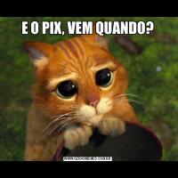 E O PIX, VEM QUANDO?