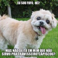 EU SOU FOFO,  NÉ?MAS NÃO DEITA EM MIM QUE NÃO SIRVO PRA TRAVESSEIRO, CAPISCOU?