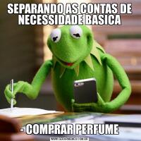 SEPARANDO AS CONTAS DE NECESSIDADE BASICA- COMPRAR PERFUME