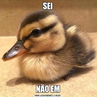 SEINÃO EM