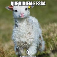 QUE VIAJEM E ESSAO 