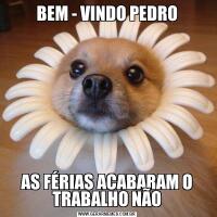 BEM - VINDO PEDROAS FÉRIAS ACABARAM O TRABALHO NÃO