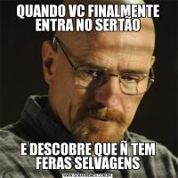 QUANDO VC FINALMENTE ENTRA NO SERTÃOE DESCOBRE QUE Ñ TEM FERAS SELVAGENS