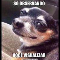 SÓ OBSERVANDO VOCÊ VISUALIZAR 
