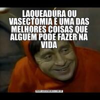 LAQUEADURA OU VASECTOMIA É UMA DAS MELHORES COISAS QUE ALGUÉM PODE FAZER NA VIDA