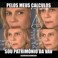 PELOS MEUS CALCULOSSOU PATRIMÔNIO DA VAV