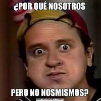 ¿POR QUÉ NOSOTROSPERO NO NOSMISMOS?