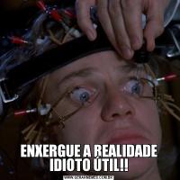 ENXERGUE A REALIDADE IDIOTO ÚTIL!!