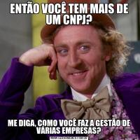 ENTÃO VOCÊ TEM MAIS DE UM CNPJ?ME DIGA, COMO VOCÊ FAZ A GESTÃO DE VÁRIAS EMPRESAS?