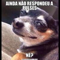 AINDA NÃO RESPONDEU A PULSESNÉ?