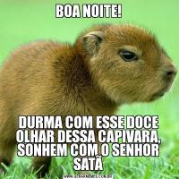 BOA NOITE!DURMA COM ESSE DOCE OLHAR DESSA CAPIVARA, SONHEM COM O SENHOR SATÃ