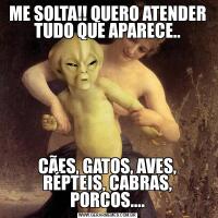 ME SOLTA!! QUERO ATENDER TUDO QUE APARECE..CÃES, GATOS, AVES, RÉPTEIS, CABRAS, PORCOS....