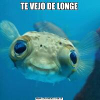 TE VEJO DE LONGE