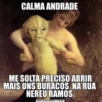 CALMA ANDRADE ME SOLTA PRECISO ABRIR MAIS UNS BURACOS  NA RUA  NEREU RAMOS 