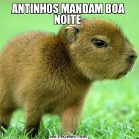 ANTINHOS MANDAM BOA NOITE 