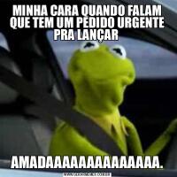 MINHA CARA QUANDO FALAM QUE TEM UM PEDIDO URGENTE PRA LANÇAR AMADAAAAAAAAAAAAAA.