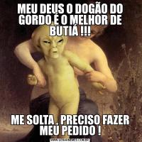 MEU DEUS O DOGÃO DO GORDO É O MELHOR DE BUTIÁ !!!ME SOLTA , PRECISO FAZER MEU PEDIDO !