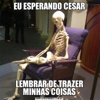 EU ESPERANDO CESARLEMBRAR DE TRAZER MINHAS COISAS