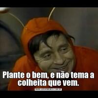 Plante o bem, e não tema a colheita que vem.