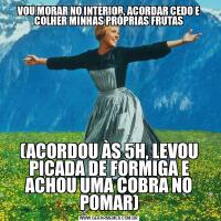 VOU MORAR NO INTERIOR, ACORDAR CEDO E COLHER MINHAS PRÓPRIAS FRUTAS(ACORDOU ÀS 5H, LEVOU PICADA DE FORMIGA E ACHOU UMA COBRA NO POMAR)