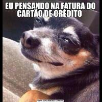 EU PENSANDO NA FATURA DO CARTÃO DE CRÉDITO 