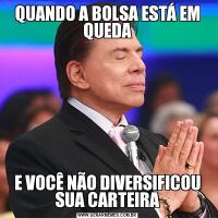 QUANDO A BOLSA ESTÁ EM QUEDAE VOCÊ NÃO DIVERSIFICOU SUA CARTEIRA