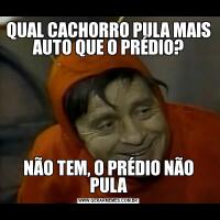 QUAL CACHORRO PULA MAIS AUTO QUE O PRÉDIO?NÃO TEM, O PRÉDIO NÃO PULA