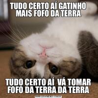 TUDO CERTO AÍ GATINHO MAIS FOFO DA TERRATUDO CERTO AÍ  VÁ TOMAR FOFO DA TERRA DA TERRA