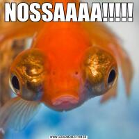 NOSSAAAA!!!!!