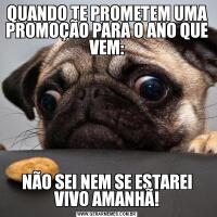 QUANDO TE PROMETEM UMA PROMOÇÃO PARA O ANO QUE VEM:NÃO SEI NEM SE ESTAREI VIVO AMANHÃ!