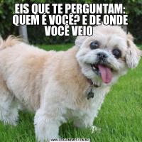 EIS QUE TE PERGUNTAM: QUEM É VOCÊ? E DE ONDE VOCÊ VEIO 