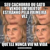 SEU CACHORRO OU GATO VENDO UM OBJETO ESTRANHO PELA PRIMEIRA VEZQUE ELE NUNCA VIU NA VIDA