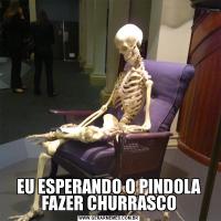 EU ESPERANDO O PINDOLA FAZER CHURRASCO