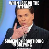WHEN I SEE ON THE INTERNETSOMEBODY PRACTICING BULLYING