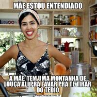 MÃE ESTOU ENTENDIADOA MÃE: TEM UMA MONTANHA DE LOUÇA ALI PRA LAVAR PRA TE TIRAR DO TÉDIO