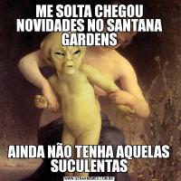 ME SOLTA CHEGOU NOVIDADES NO SANTANA GARDENSAINDA NÃO TENHA AQUELAS SUCULENTAS