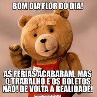 BOM DIA FLOR DO DIA!AS FÉRIAS ACABARAM, MAS O TRABALHO E OS BOLETOS NÃO! DE VOLTA A REALIDADE!